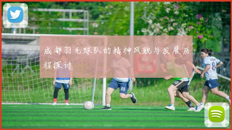 成都羽毛球队的精神风貌与发展历程探讨