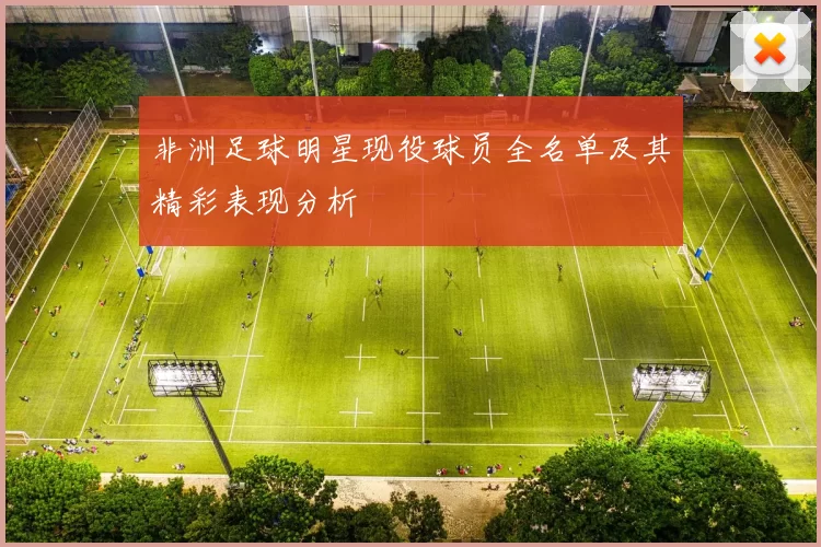 非洲足球明星现役球员全名单及其精彩表现分析