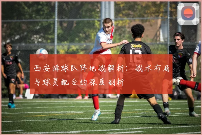 西安排球队阵地战解析：战术布局与球员配合的深度剖析