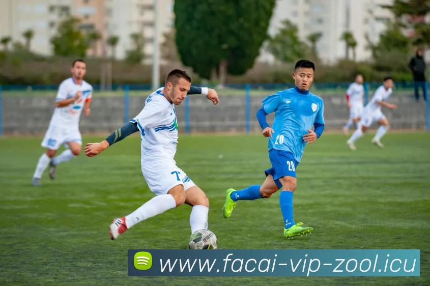 乐鱼体育品牌故事