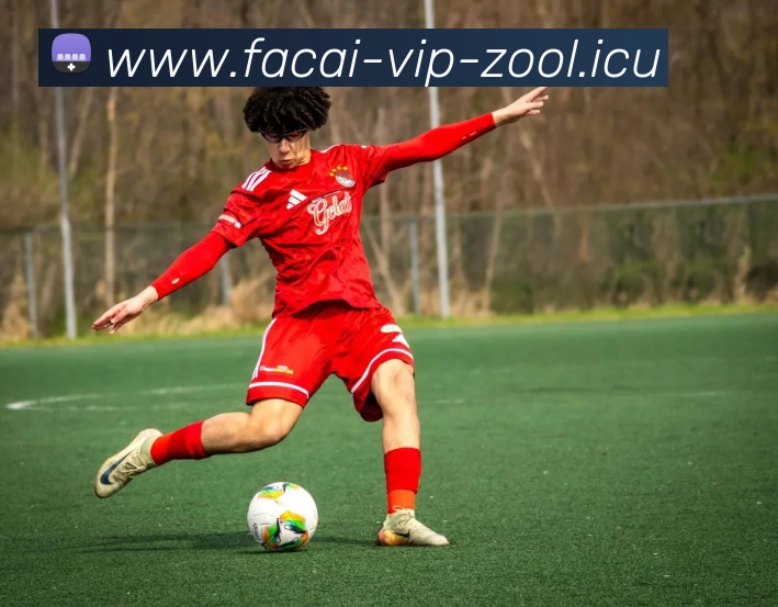 乐鱼体育APP 体育赛事宣传图